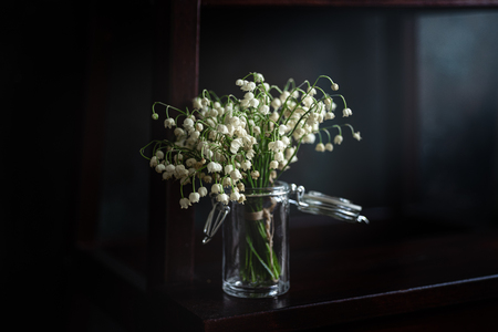 Bouquet of lilies of the valley in small jar with ray of light, darkの写真素材