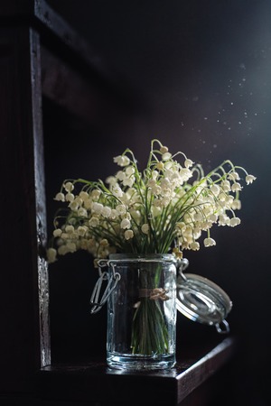 Bouquet of lilies of the valley in small jar with ray of light, darkの写真素材