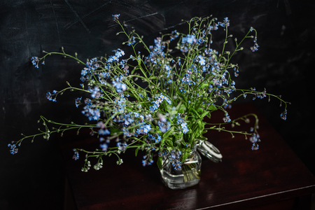 Forget-me-not's bouquet in small glass jar on wooden stool, darkの写真素材