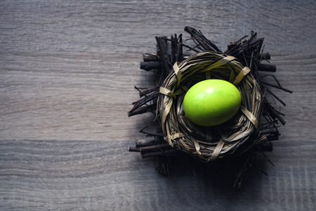 Single color egg in the nest on wooden background. Spring and Easter holiday concept with copy space.の写真素材