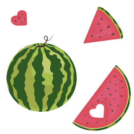 Whole watermelon and pieces of red on a white backgroundのイラスト素材