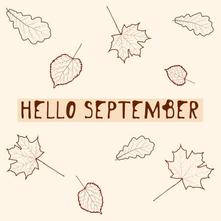 Hello september lettering with abstract contours of leavesのイラスト素材