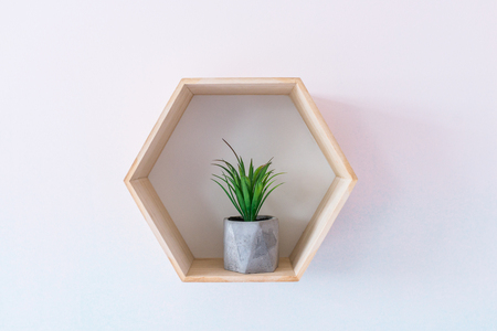Pot with a succulent on a blue and white gradient backgroundの写真素材