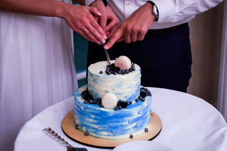 Two- tier blue cream wedding cake with blueberries and macarons. Bride and groom wedding couple...