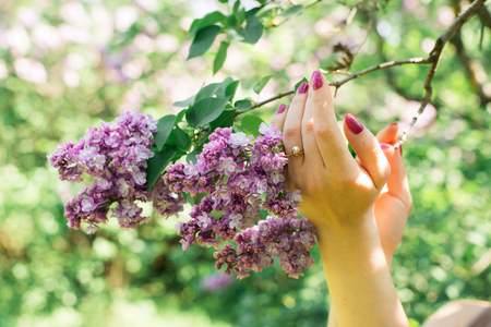 Girl holding a branch of violet lilacの写真素材
