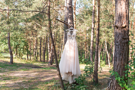 Wedding pink dress on hanger on the tree in the forest. Beautiful gown. Weddingの写真素材