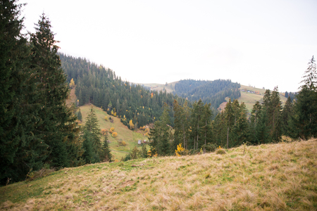 A view to the Carpathian Mountains through some green Christmas trees. Small country houses in the background.の写真素材