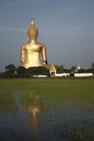 Buddha statueの写真素材