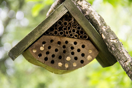 beehive - house of bee