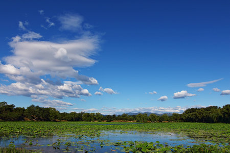 lake viewの写真素材