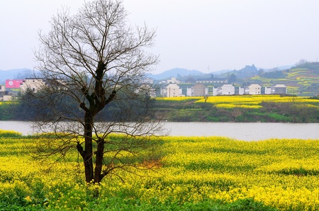 Southern Anhui landscape view during springのeditorial素材