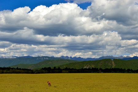 Landscape scenery view of a grasslandの写真素材