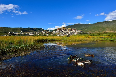 Ganden Sumtseling Monastery