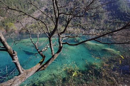 Jiuzhaigou Valleyの写真素材