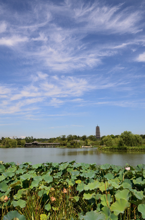 Slender West Lakeの写真素材