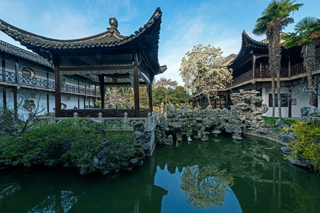 garden and magnolia flowersのeditorial素材