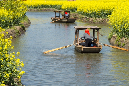 rape flower water town in Jiangsu, Chinaのeditorial素材
