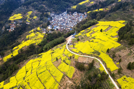 aerial photo of small village of Anhui, Chinaの写真素材