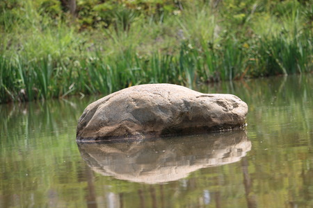 stoneの写真素材