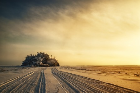 Enchanting winter landscape and sunset snowy field fogの写真素材