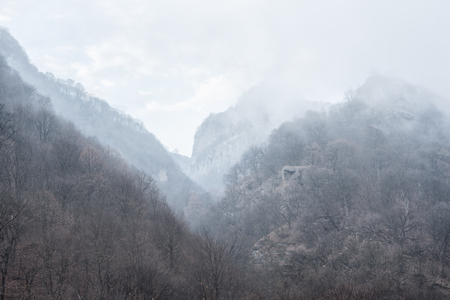 A small house in a small forest standing at the foot of the high rocks in fogの写真素材