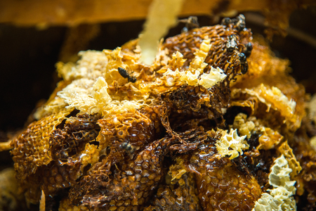 Honey production wasteの写真素材