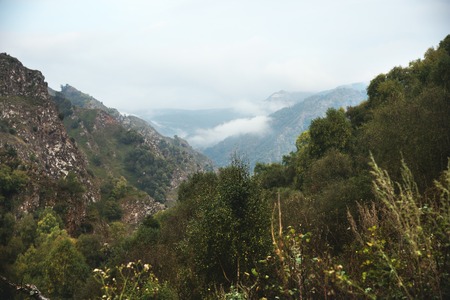 A beautiful morning landscape of gorge in the Caucasusの写真素材
