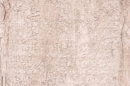 Textured background wooden surface painted with water-emulsion paint with small cracks in time. Rustic backgroundの写真素材