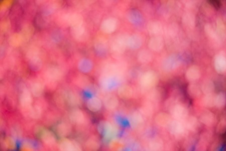 Blurred red background. Red sawdust in defocusの写真素材