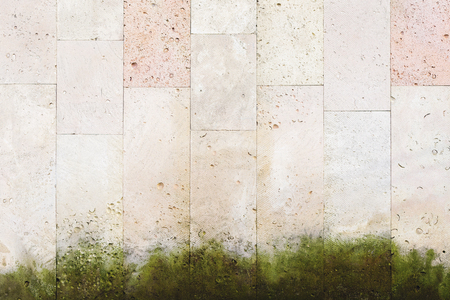Textured background vertical facing tiles from shell stone with traces of moss formation in the form of green mold. Grunge background with elements of living plant life. Old wall with green mold.の写真素材