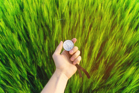 Finding a direction in nature on a wheat field. A mans hand holds a compassの写真素材