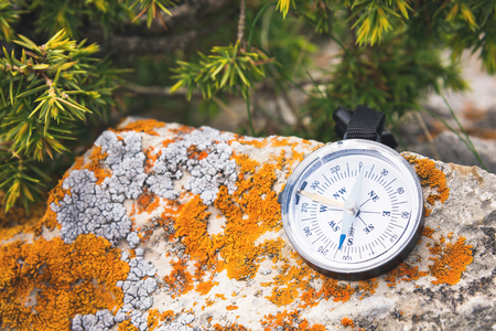 A magnetic compass lies on a stone next to the branches of a juniperの写真素材