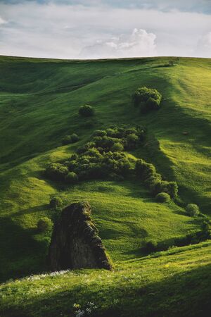 Sunny Summer Landscape with Hill and Meadow with trees
