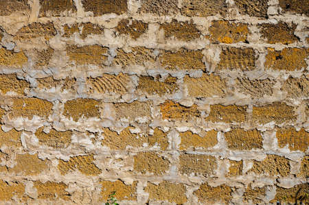 Brick wall of yellow shell rock. Close-up texture of a brick from seashells. Background old wall...