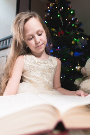 A little blonde girl in a festive dress with a book in her hands sits next to soft toys against the background of a Christmas tree and reads a book leading the page with her place.の写真素材