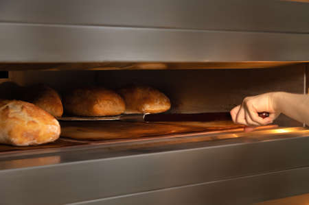 Female hands in gloves hold a shovel with a loaf of artisan bread. He takes fresh hot bread out of the oven. Homemade bread productionの写真素材