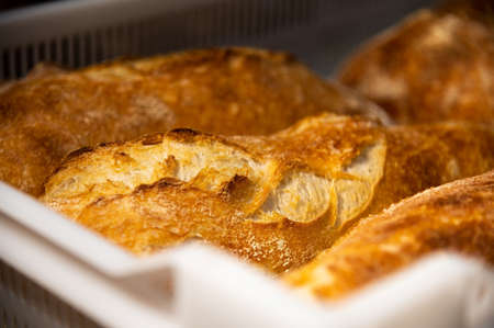Fresh hot artisan bread in a white plastic transport box. Healthy and tasty food baked goods