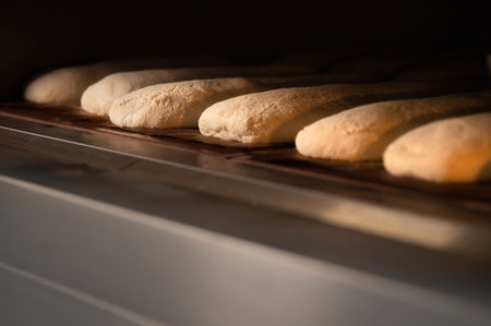 Close-up Batch of fresh buns of artisan bread baked in an oven in cooking and eating concept