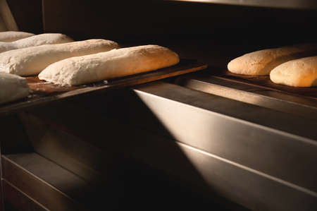 Close-up Batch of fresh buns of artisan bread baked in an oven in cooking and eating conceptの写真素材