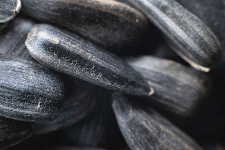 Close-up of black sunflower seeds. texture, background of natural and healthy snacks. Macro photography with shallow depth of fieldの写真素材