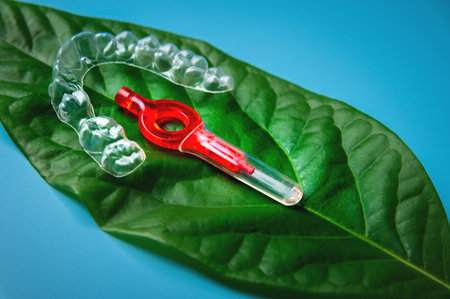 on a blue background lies a juicy green leaf from a flower, on it is a red interdental brush and a new invisible plastic bracket. idea of dentistry, orthodontics and daily dental careの写真素材