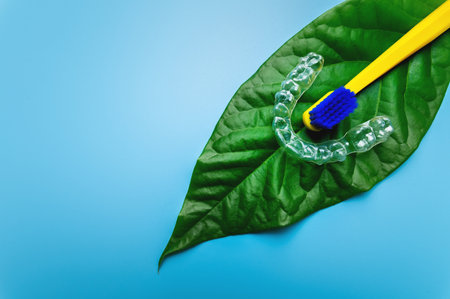 bright toothbrush along with a plastic bracket lies on a green leaf from a flower, orthodontic and cosmetic dental careの写真素材