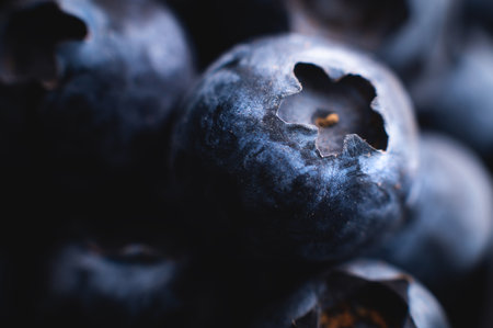 Blueberry background, close-up. Blueberry, macro. Background of many fresh blueberries. Beautiful poster or wallpaper with blueberriesの写真素材