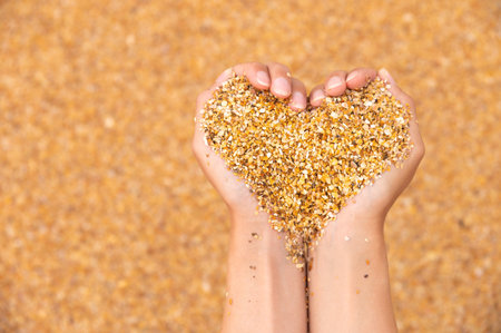 Soft heart shapes of womens hands over the beach. In the hands of a girl there is sand from a small shell in the shape of a heart, a beach holiday and the romance of a vacationの写真素材