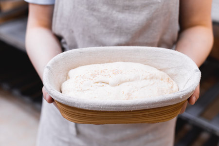 Close-up of hands holding a tray, with a ball of dough, preparing bread before baking. The process of creating bread in a bakeryの写真素材