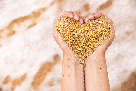 Soft heart shapes of female hands over a beach full of sand. Symbol of love for the seaの写真素材