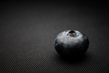 One blueberry black background. Very detailed macro shoot with copy spaceの写真素材