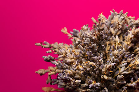 Small bouquet of dried lavender on pink background. Top view. Bouquet of dried lavender, aromatherapyの写真素材