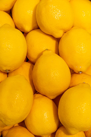 Close-up Ripe Yellow Lemons Background Or Texture. Lemon Harvest, Many Yellow Lemons.