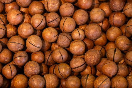 Delicious macadamia nuts as a background, top view. A large number of macadamia nuts in shell but...